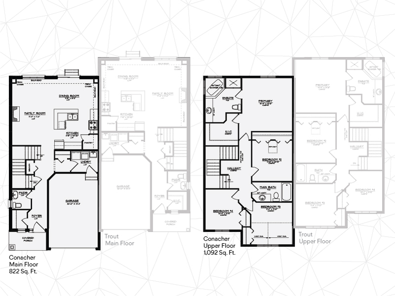 Layout