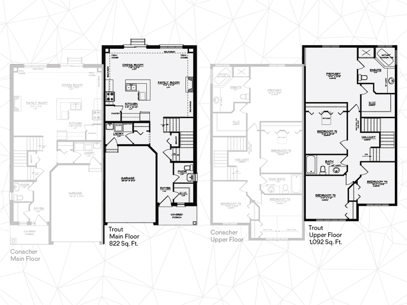 Layout